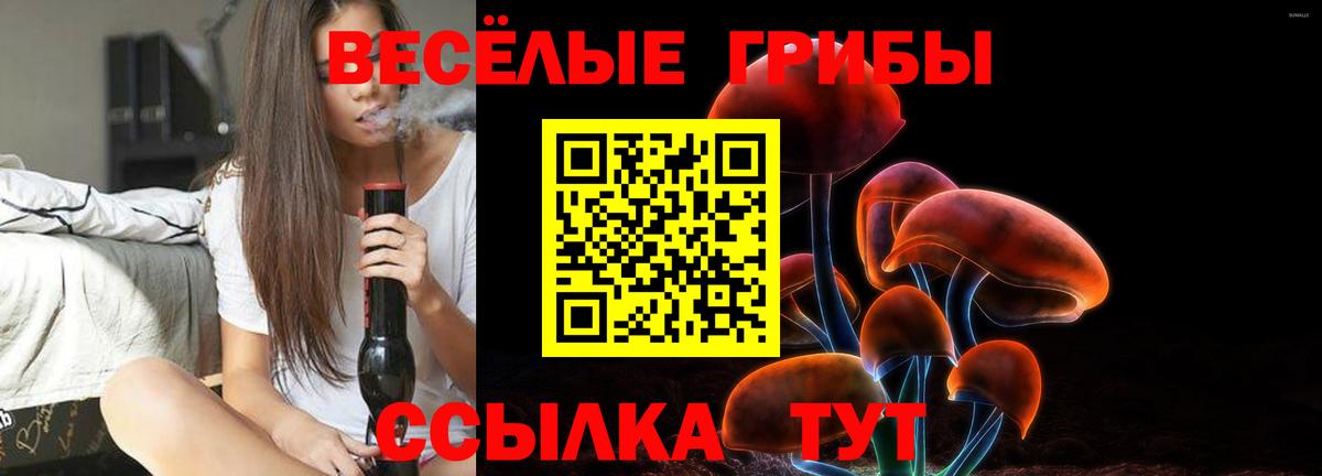 Псилоцибиновые грибы прущие грибы  Вход с VPN  Красноармейск 
